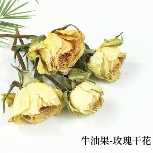 Dried Flowers  XCPRC-110