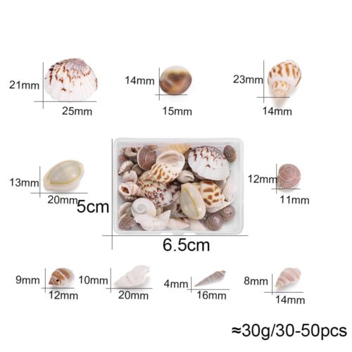 Mini Shells For Resin Art XCPRC602-16