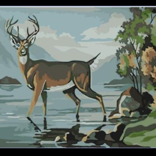 Paint By Numbers-Antelope -18cm by 24cm JK307