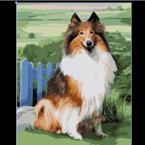 Paint By Numbers- Dog -20cm by 30cm JK316