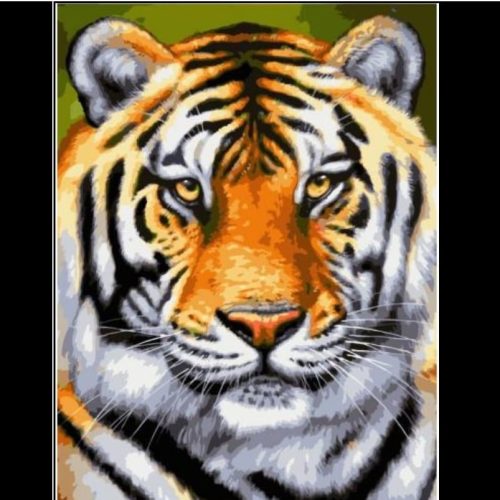 Paint By Numbers- Tiger-20cm by 30cm JK305