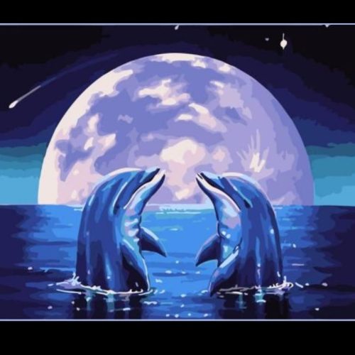 Paint By Numbers-Dolphin -18cm by 24cm JK309