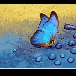 Paint By Numbers- Butterfly -20 by 30cm JK314