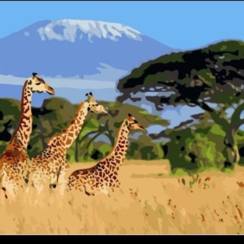 Paint By Numbers-Giraffe- 40 by 40cm JK308